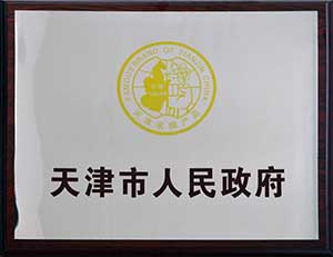 政府奖励